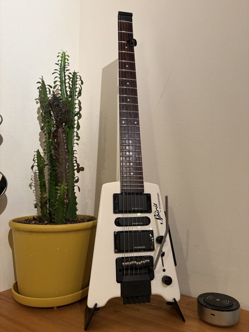 黄色い鉢の観葉植物の隣に、スタンドで置いている白いSpirit GT-PRO Deluxe